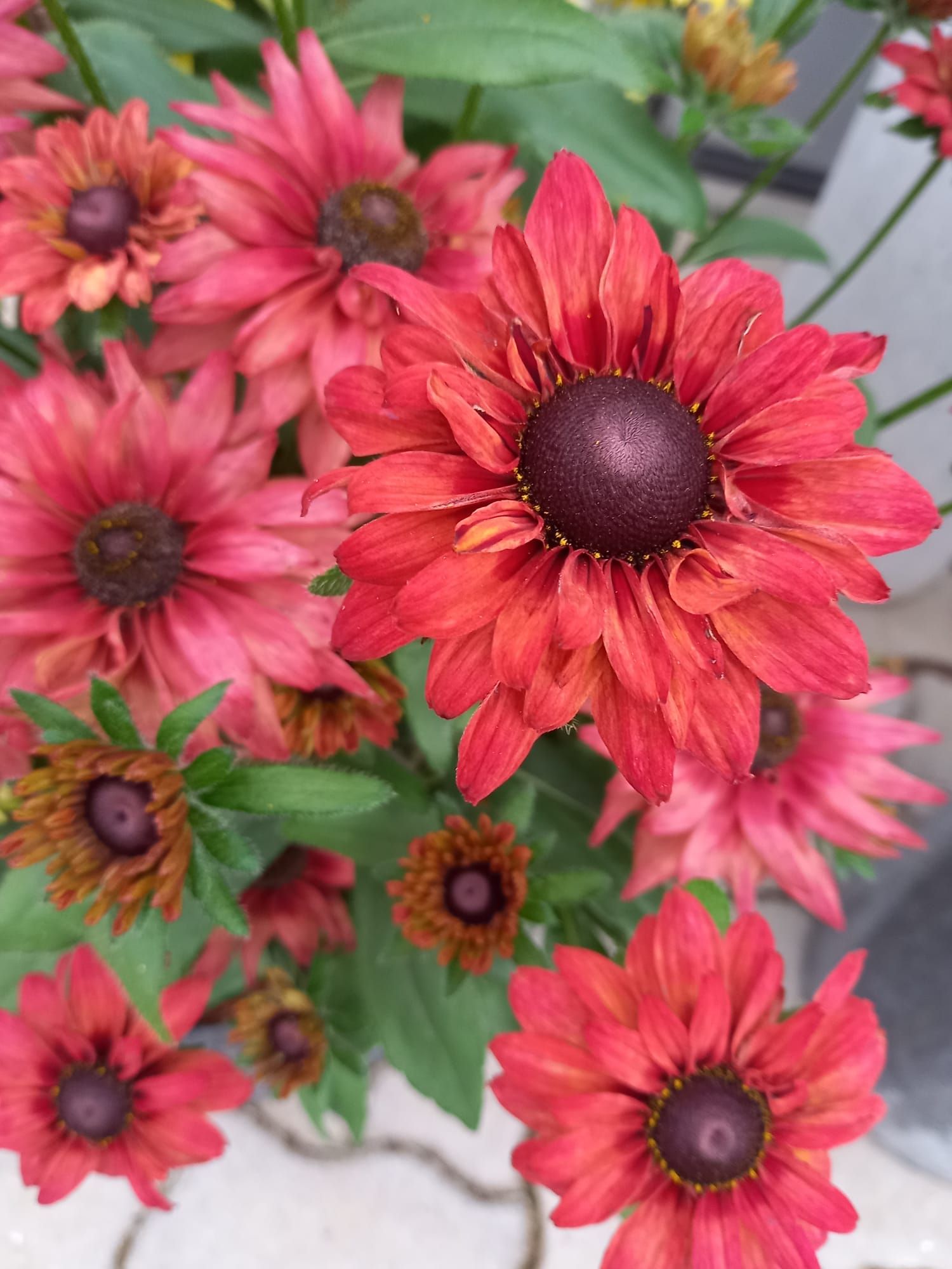 WhatsApp Image 2021-10-04 at 130919 1