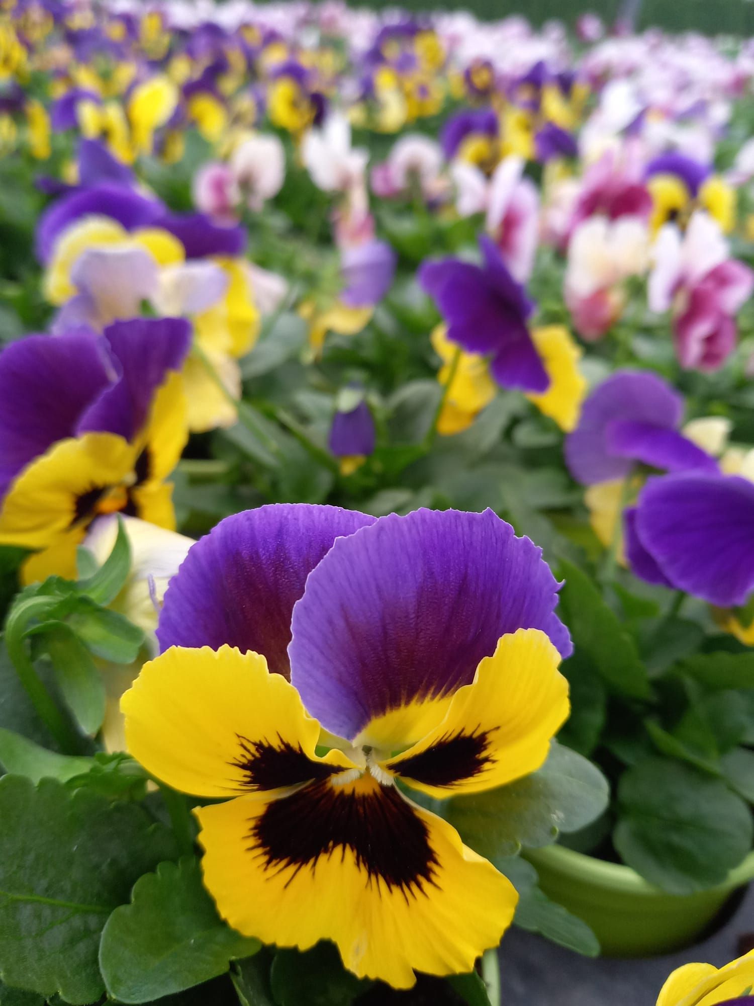 WhatsApp Image 2021-10-04 at 130919 4