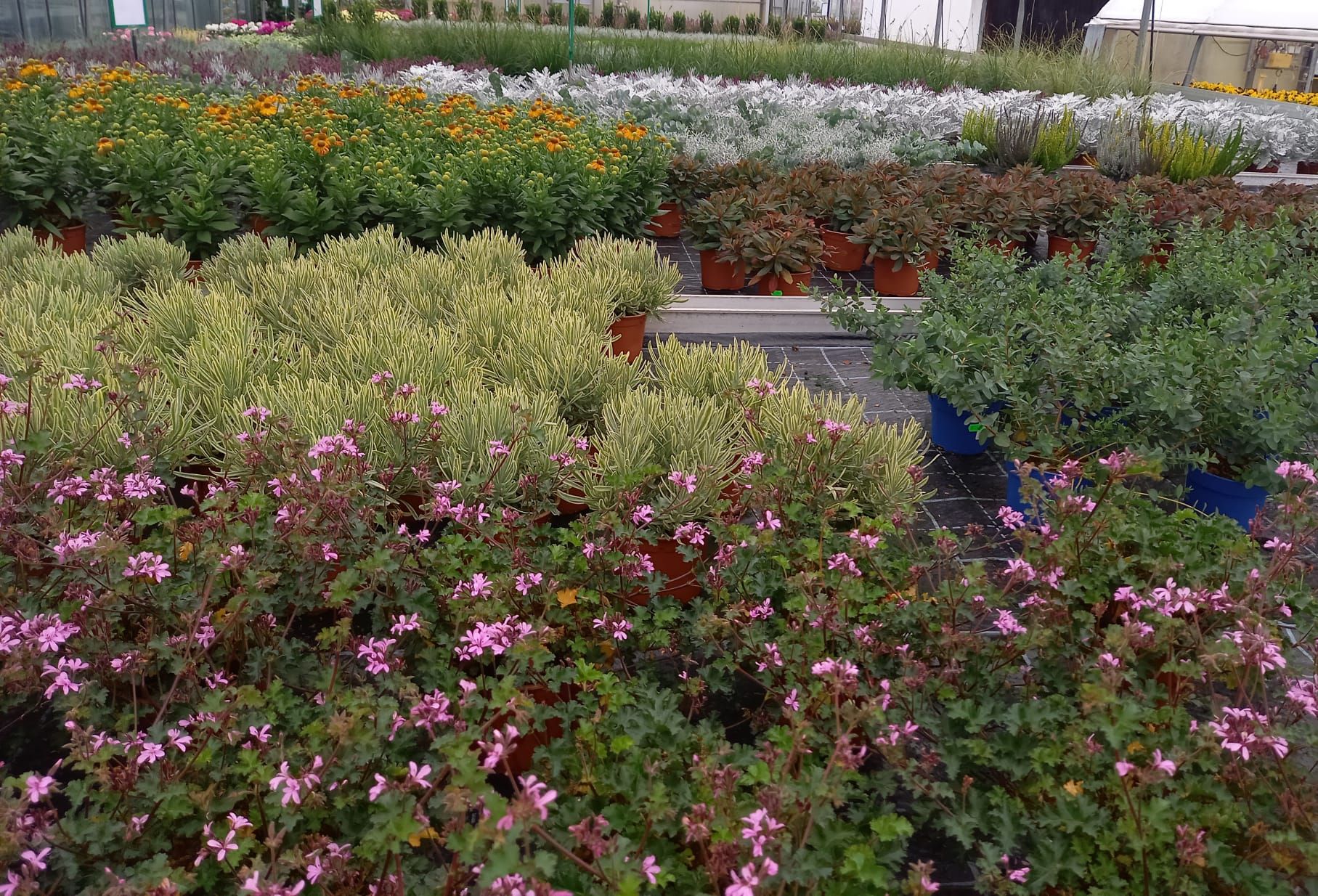 WhatsApp Image 2021-10-04 at 130920 3