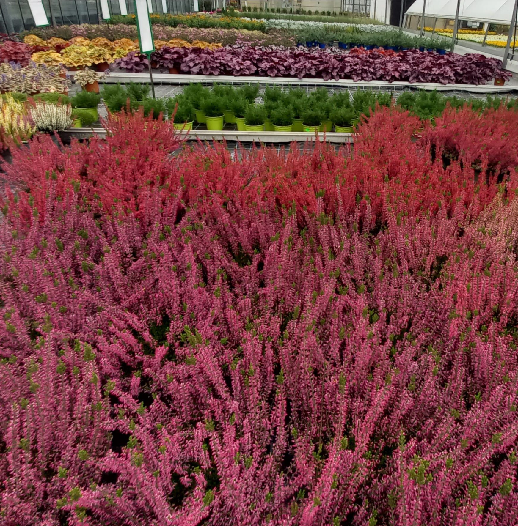 WhatsApp Image 2021-10-04 at 130920 4