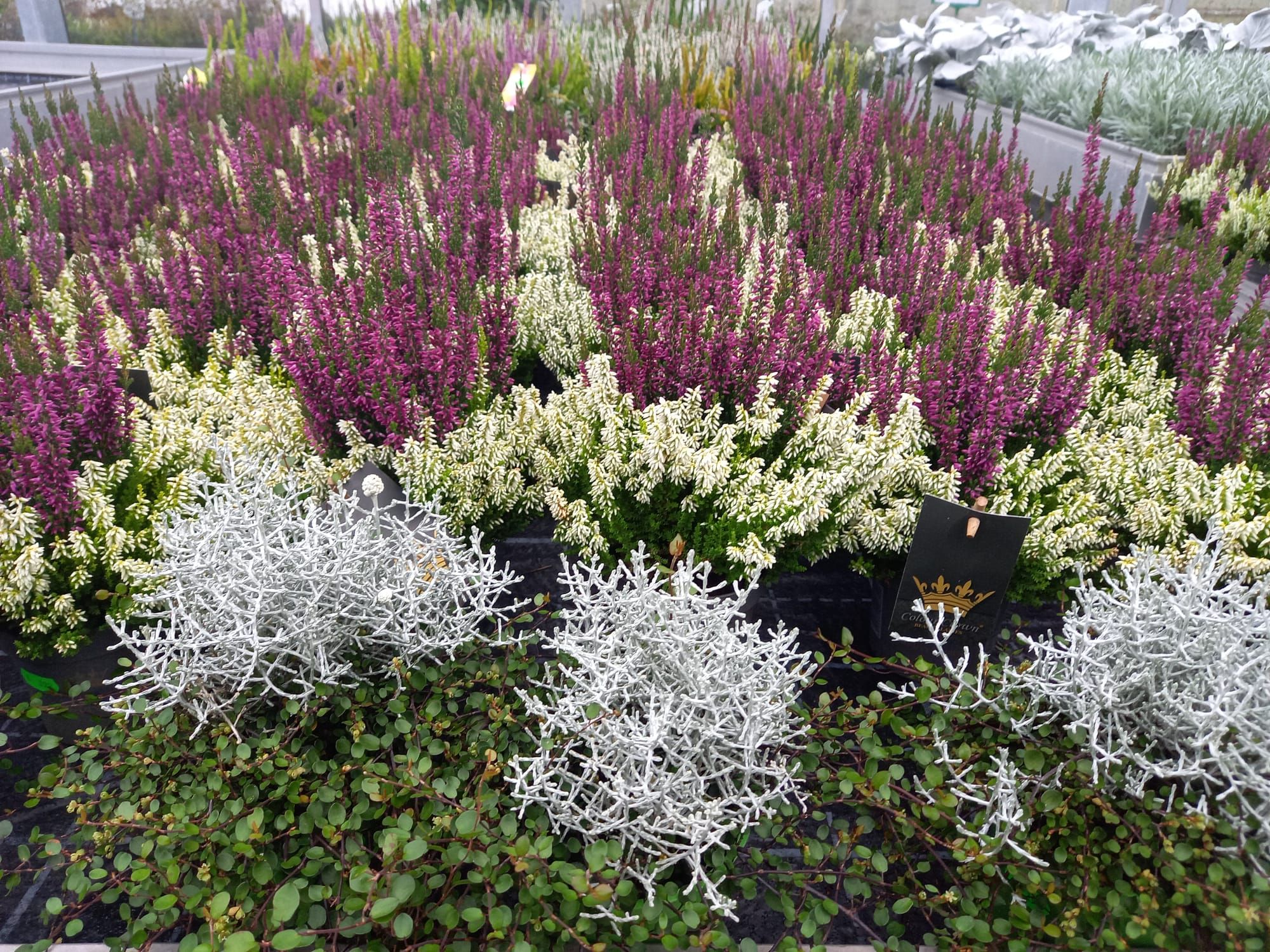 WhatsApp Image 2021-10-04 at 130921